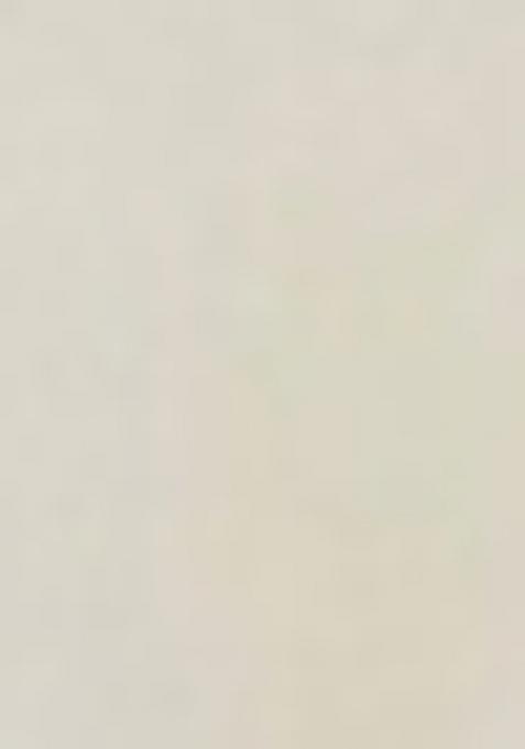 Off White Embroidered Rayon Sharara Set With Dupatta