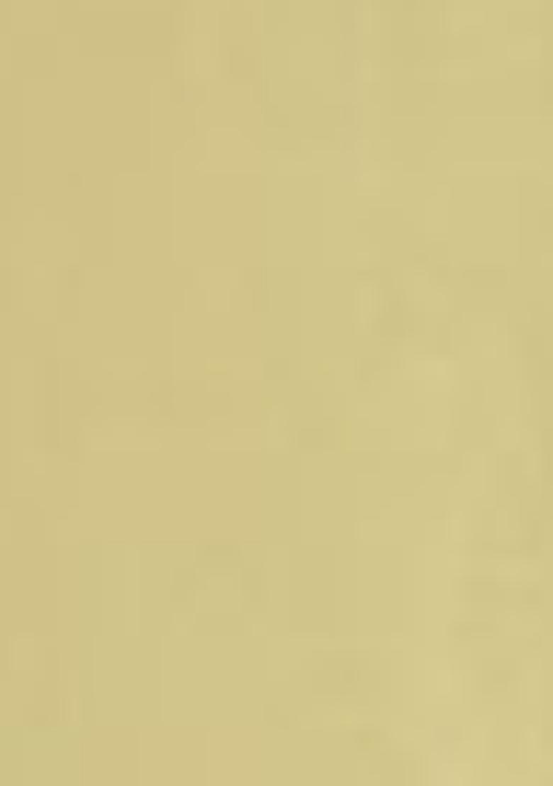 Yellow Embroidered Chanderi Viscose Sharara Set With Dupatta