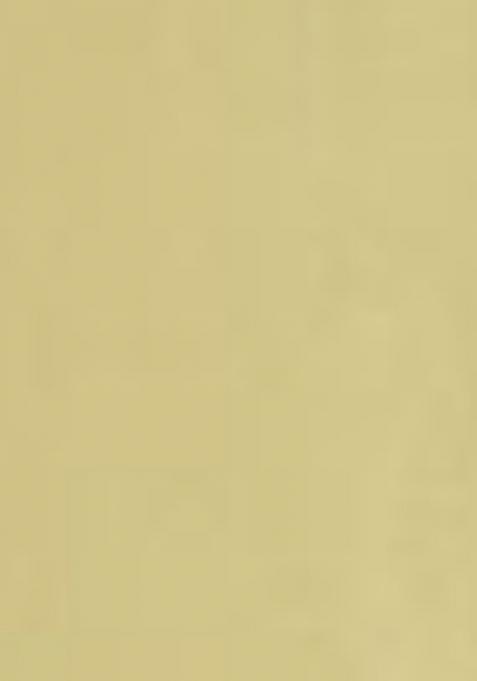 Yellow Embroidered Chanderi Viscose Sharara Set With Dupatta