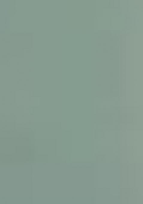 Green Embroidered Viscose Chanderi Sharara Set With Dupatta