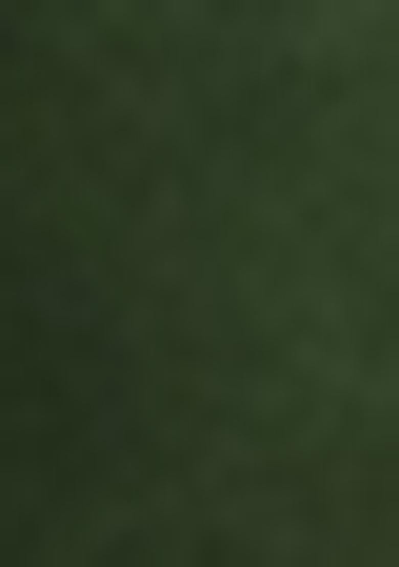 Green Embroidered Silk Blend Salwar Kameez With Dupatta