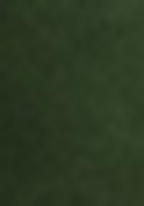 Green Embroidered Silk Blend Salwar Kameez With Dupatta