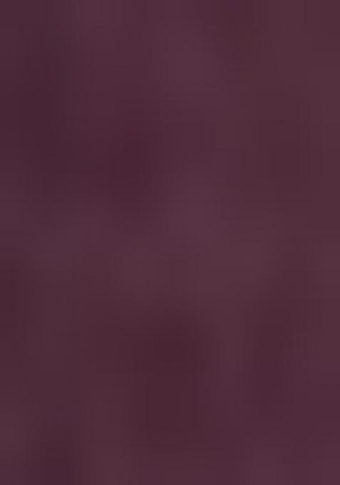 Purple Printed Rayon Salwar Kameez