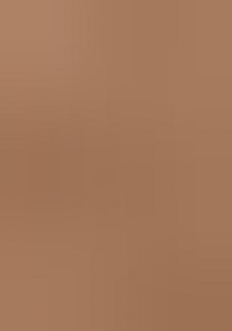 Brown Printed Rayon Salwar Kameez