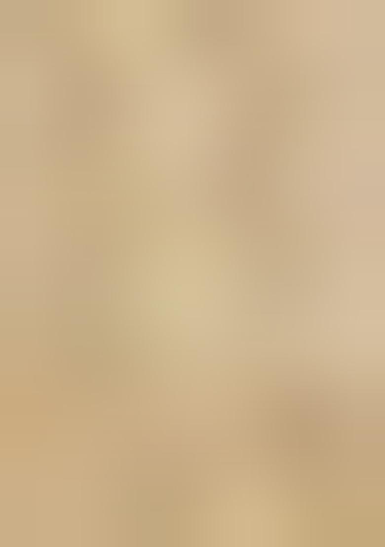 Beige Printed Viscose Assam Silk Salwar Kameez With Dupatta