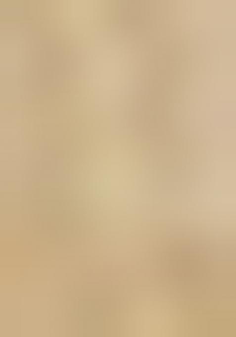 Beige Printed Viscose Assam Silk Salwar Kameez With Dupatta