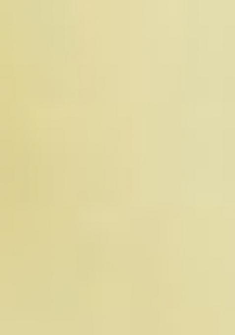 Yellow Embroidered Viscose Chanderi Salwar Kameez With Dupatta