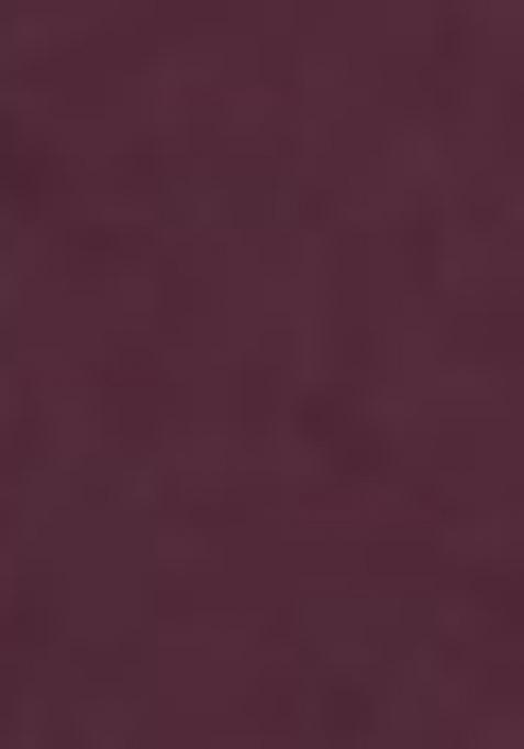 Wine Embroidered Viscose Rayon Salwar Kameez With Dupatta