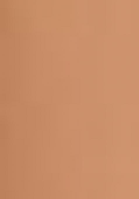 Brown Printed Cotton Poly Salwar Kameez