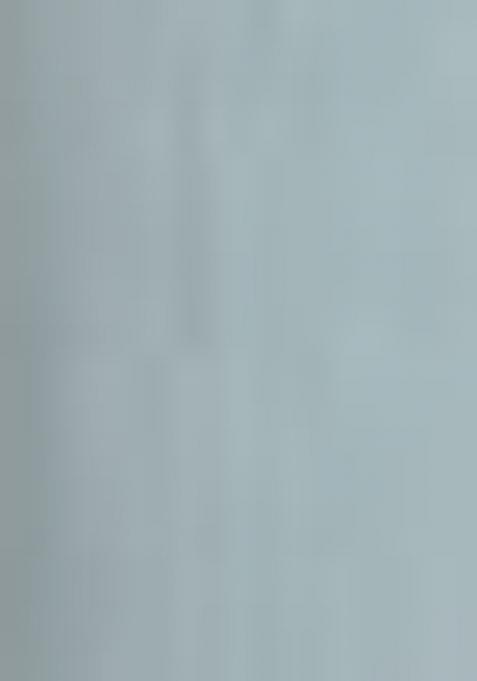 Sky Blue Printed Cotton Poly Salwar Kameez