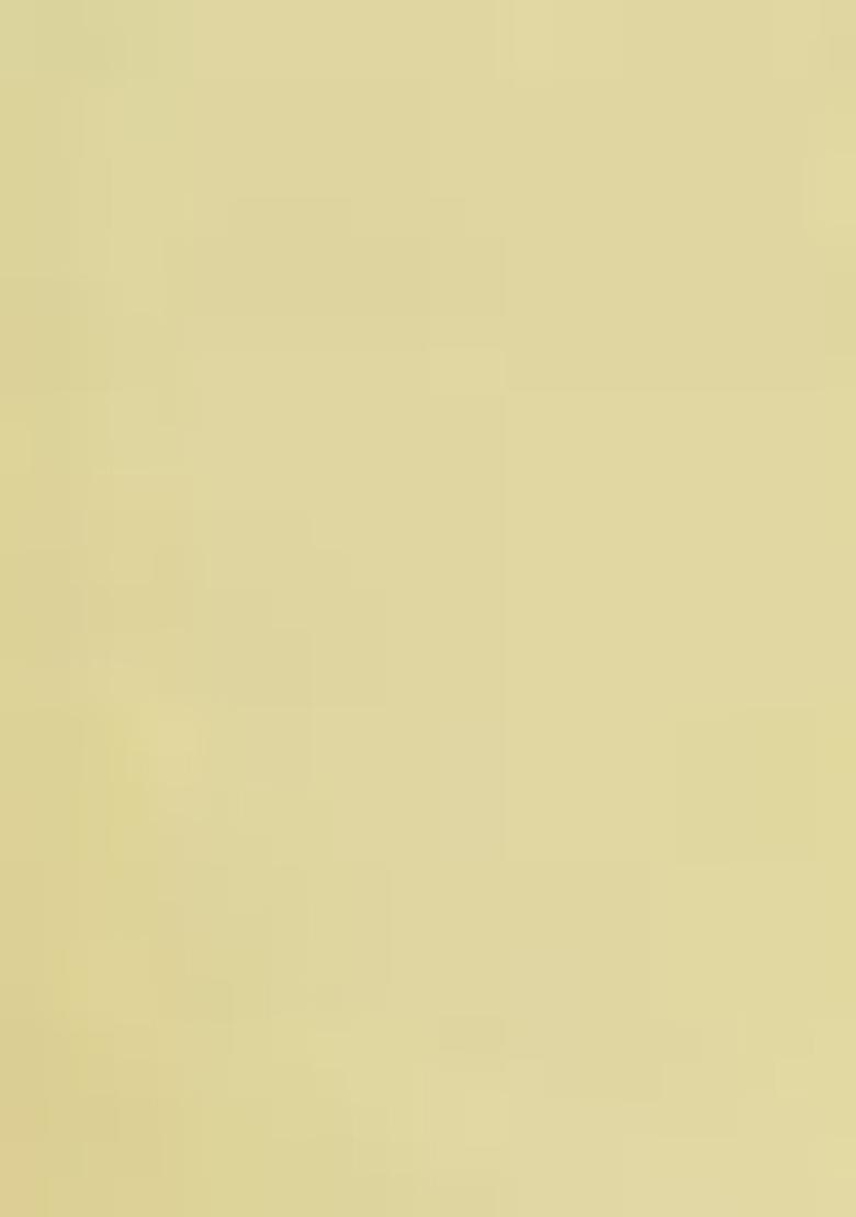 Yellow Printed Chanderi Salwar Kameez With Dupatta