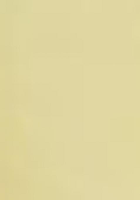 Yellow Printed Chanderi Salwar Kameez With Dupatta