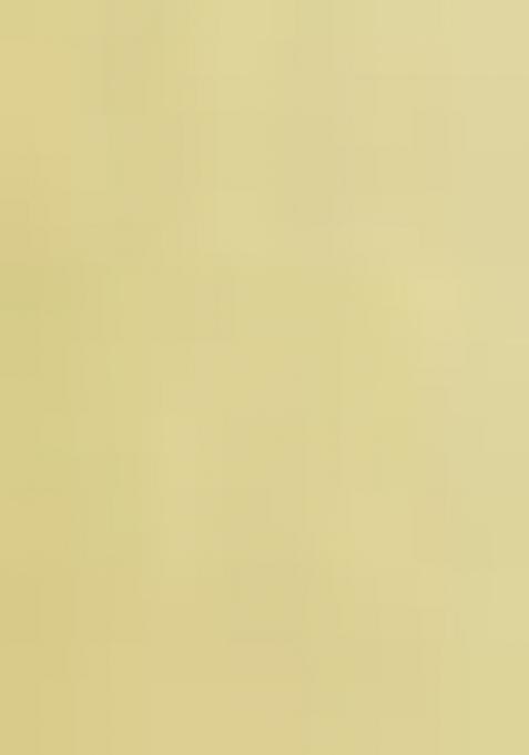 Yellow Printed Viscose Salwar Kameez With Dupatta