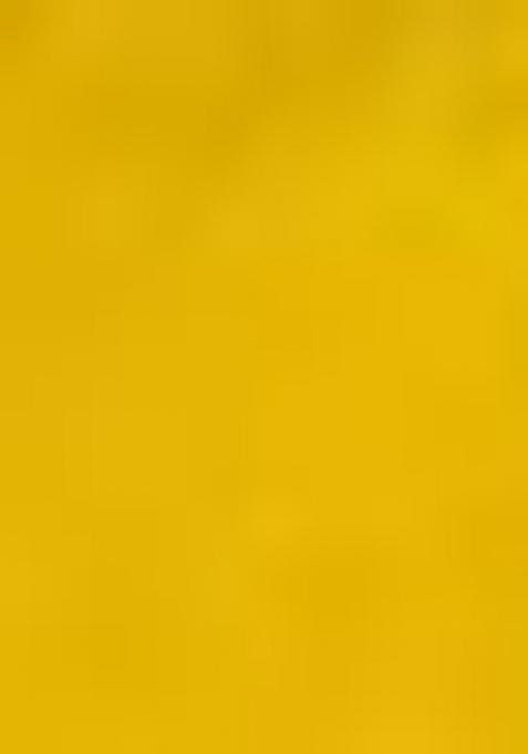 Yellow Printed Viscose Salwar Kameez With Dupatta