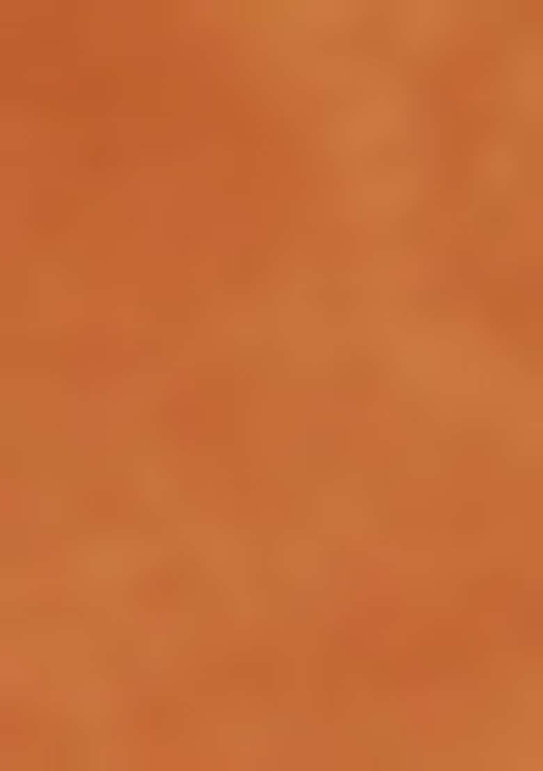 Orange Embroidered Art Silk Blend Anarkali With Dupatta - Indya