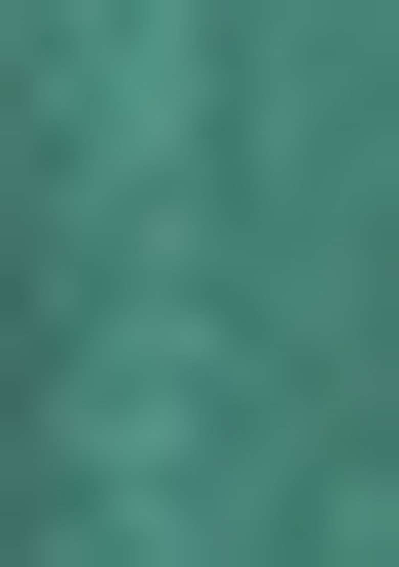 Sea Green Embroidered Silk Blend Anarkali Set - Indya