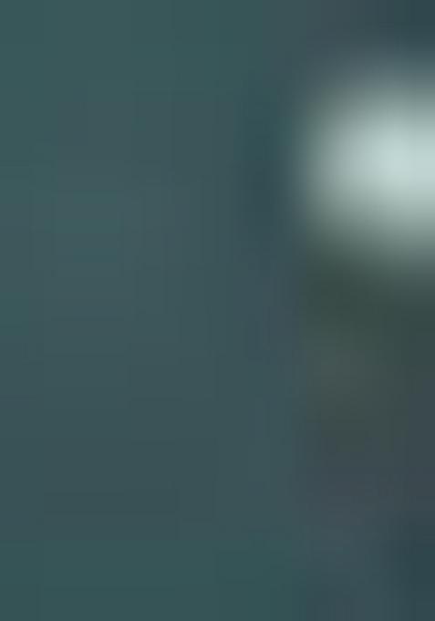 White -Green Embroidered Silk Sharara Set With Dupatta