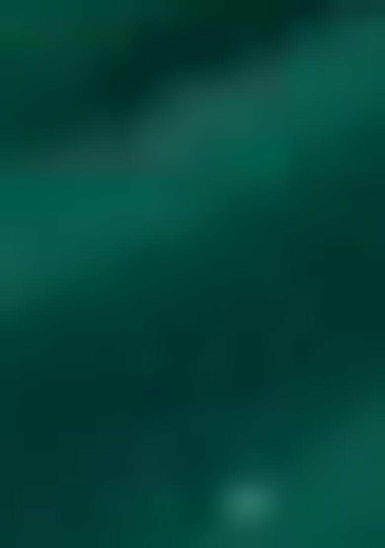 Green  Embroidered Cotton Salwar Kameez With Dupatta