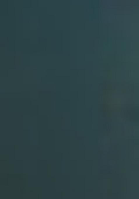 Green Embroidered Georgette Salwar Kameez With Dupatta