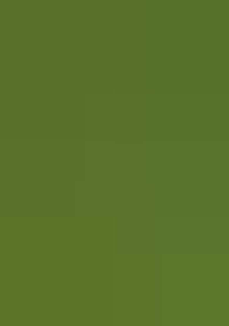 Parrot Green Silk Embroidered Salwar Kameez With Dupptta