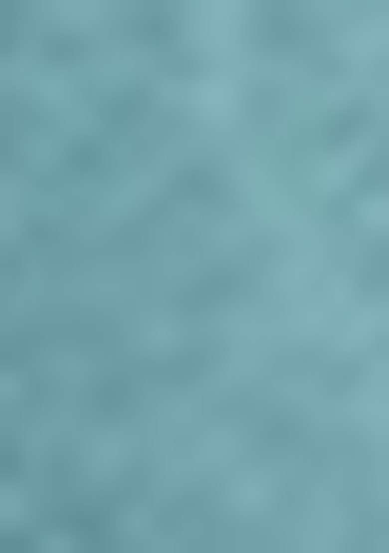 Sky Blue Embroidered Chinon Anarkali With Dupatta With Dupatta - Indya