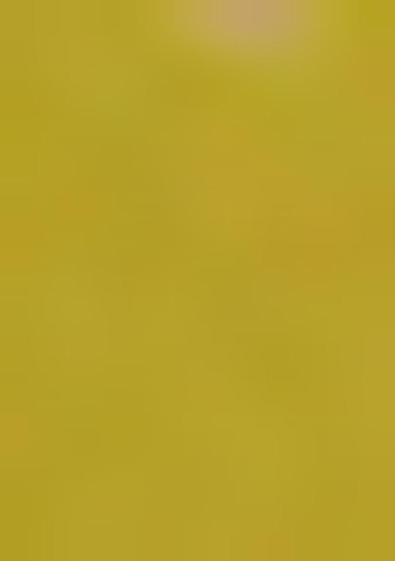 Mint Green Embroidered Chanderi Anarkali Set With Dupatta