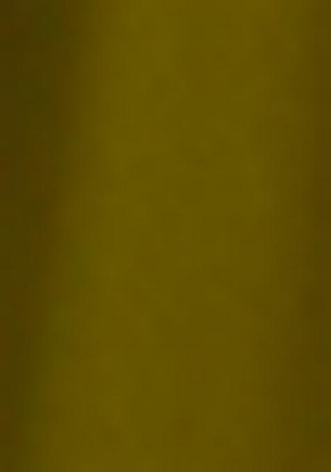 Mint Green Embroidered Georgette Anarkali Set With Dupatta