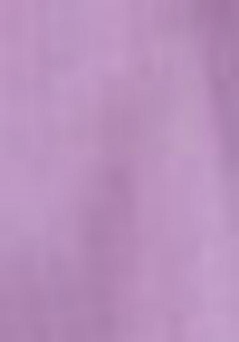 Purple Embroidered Silk Salwar Kameez