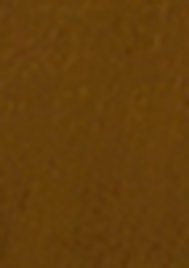 Brown Embroidered Silk Salwar Kameez