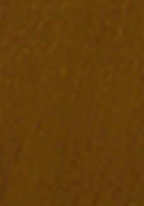 Brown Embroidered Silk Salwar Kameez