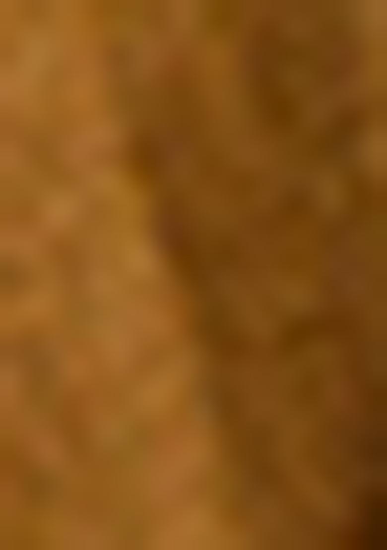 Brown Embroidered Silk Salwar Kameez