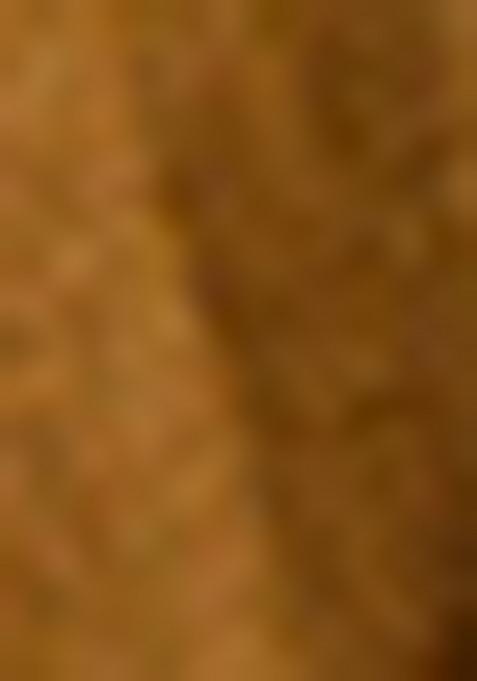 Brown Embroidered Silk Salwar Kameez