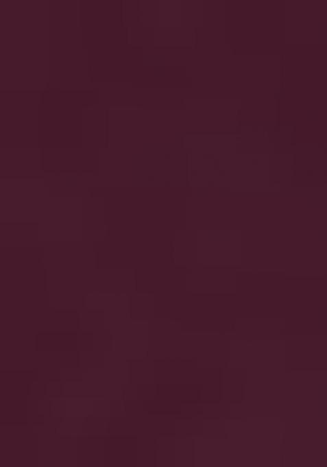 Wine Roman Printed Salwar Kameez With Dupptta