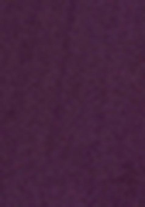 Wine Vatican Printed Salwar Kameez With Dupptta