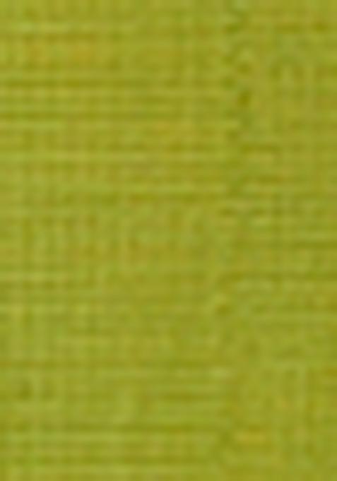 Liril Vatican Printed Salwar Kameez With Dupptta