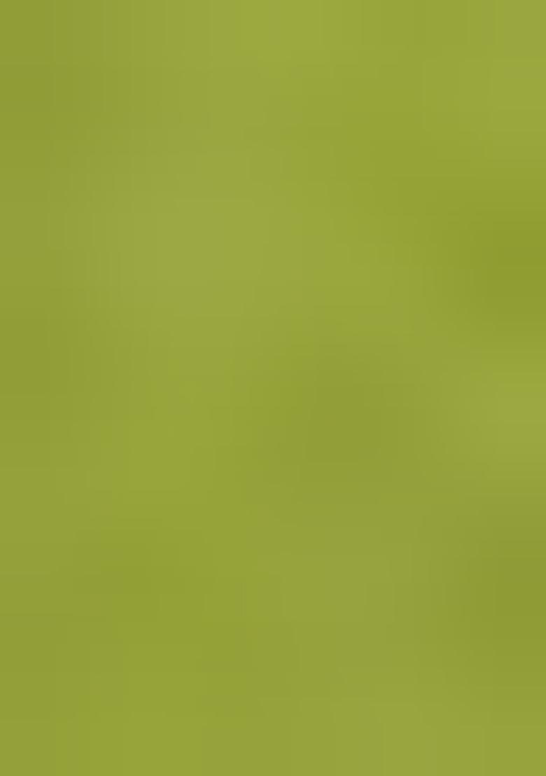 Lime Green Embroidered Chinon Salwar Kameez