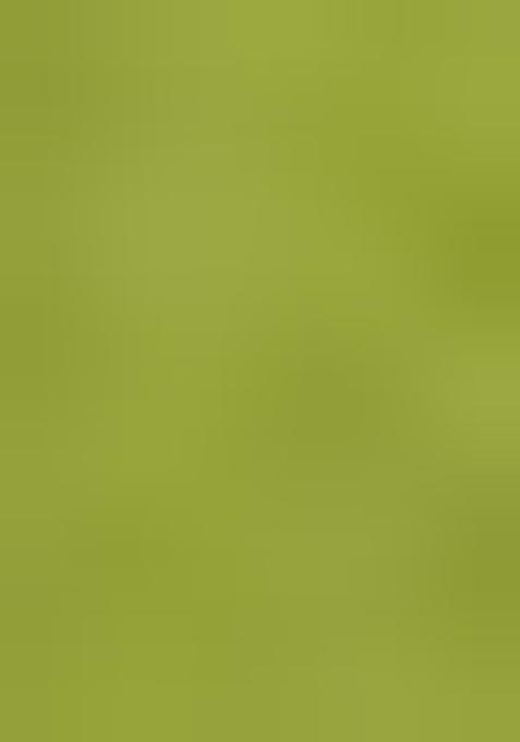 Lime Green Embroidered Chinon Salwar Kameez