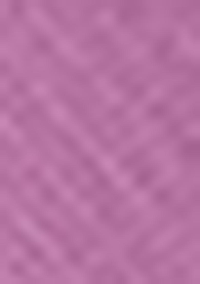 Light Purple Net Embroidered Anarkali Set With Dupptta