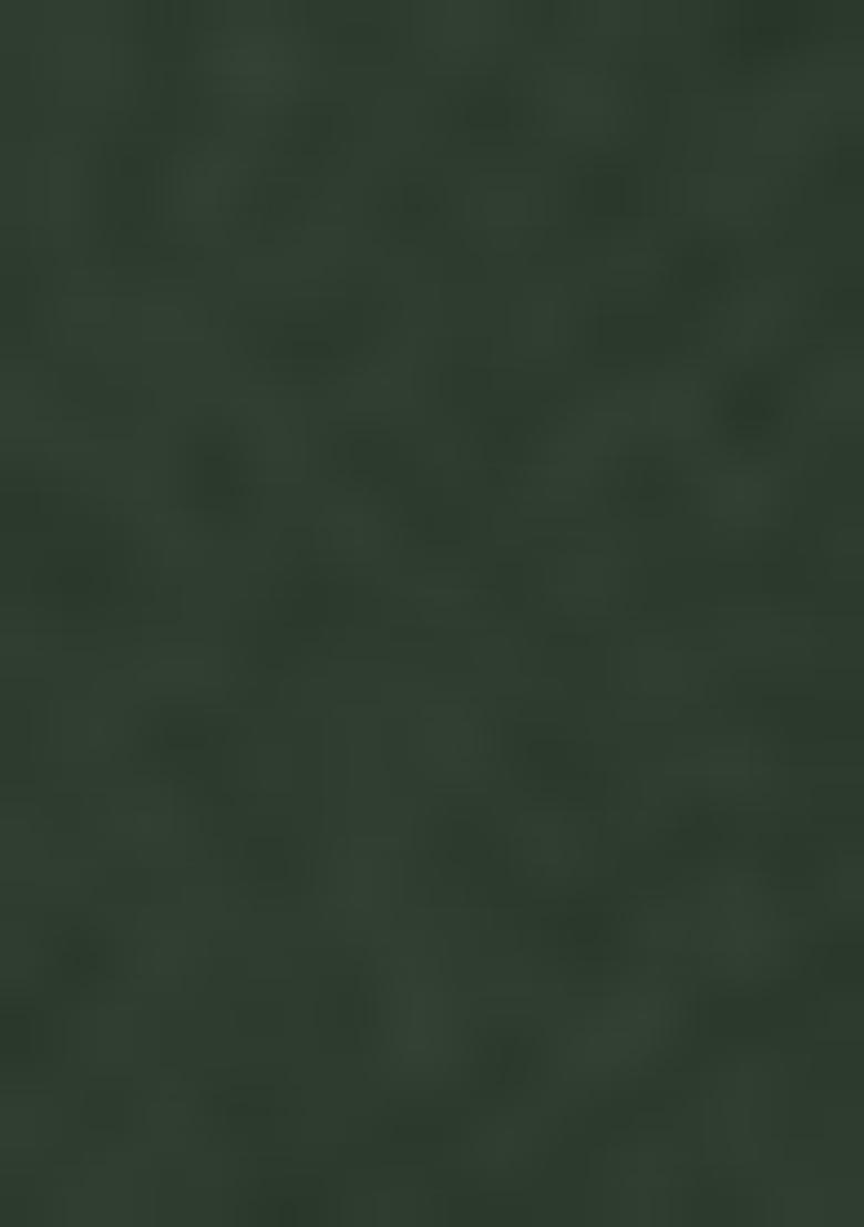 Green Georgette Embroidered Anarkali Set With Dupptta