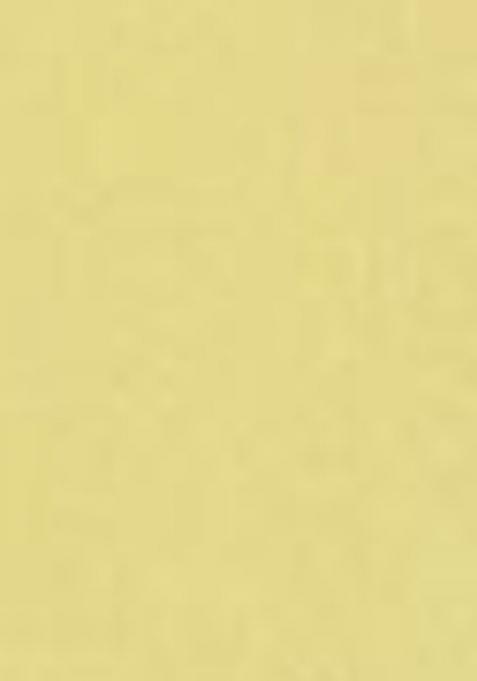 Yellow Viscose Floral Print Salwar Kameez With Dupptta