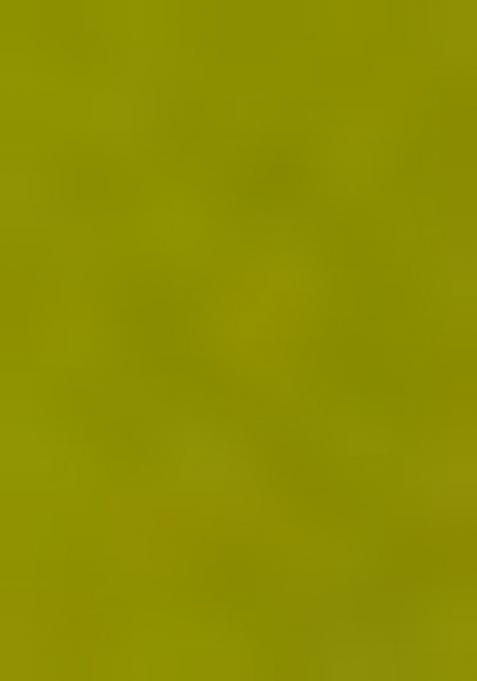 Purple Pure Cotton Chikankari Kurta Set