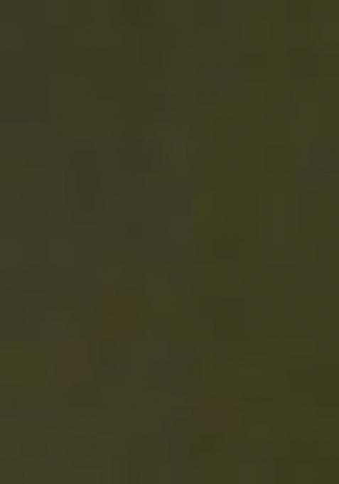 Green Viscose Printed Kurta Set