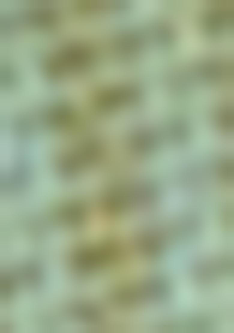 Green Silk Blend Printed Kurta Set