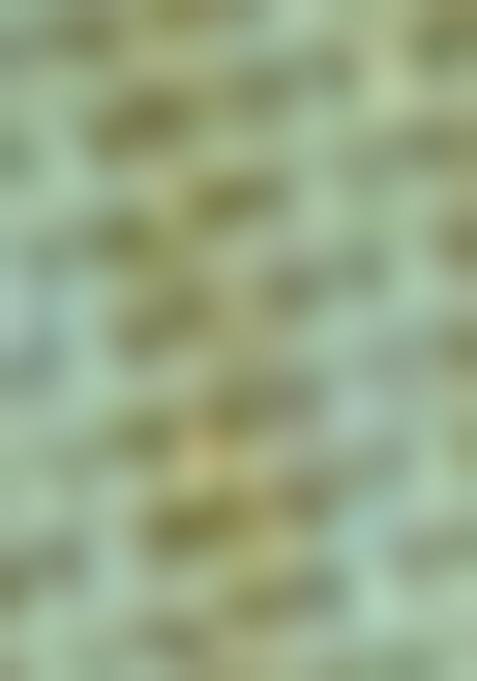 Green Silk Blend Printed Kurta Set