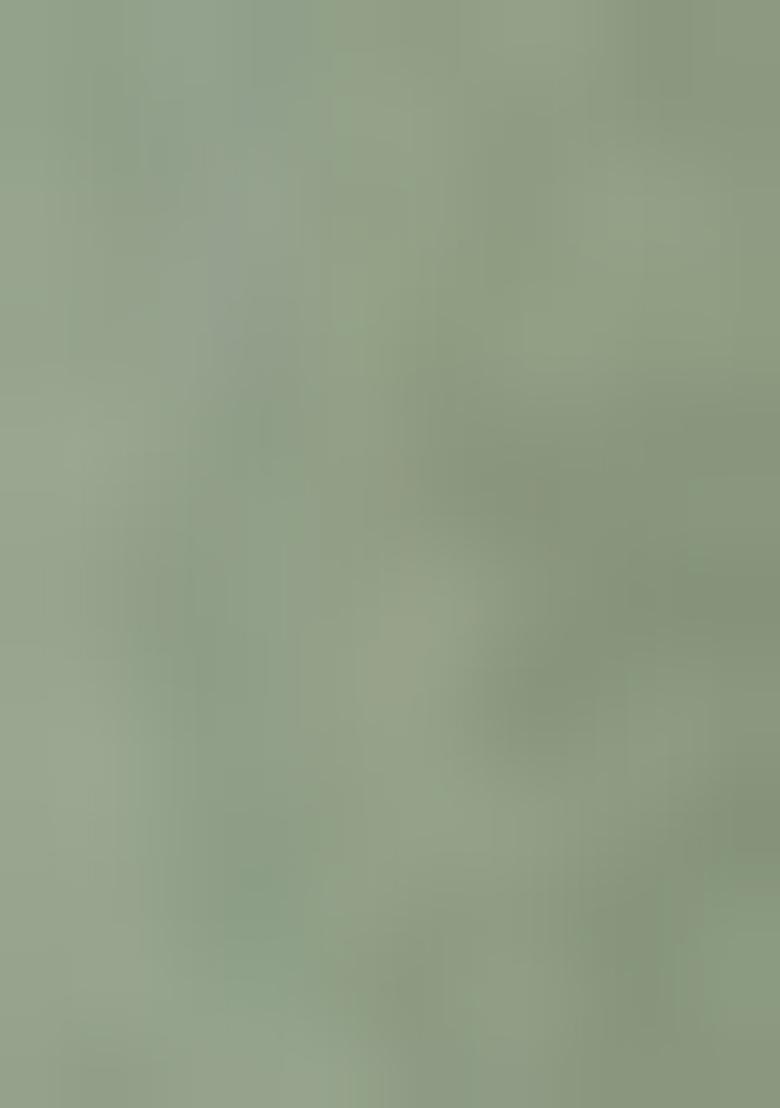 Mint Green Embroidered Net Anarkali Set With Dupatta