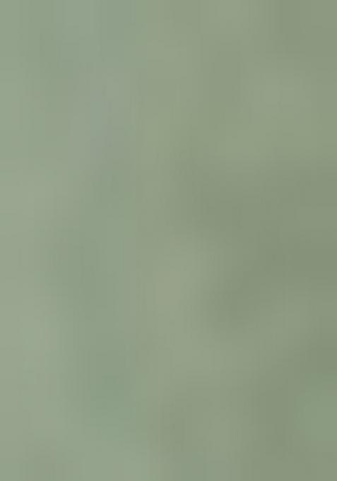 Mint Green Embroidered Net Anarkali Set With Dupatta