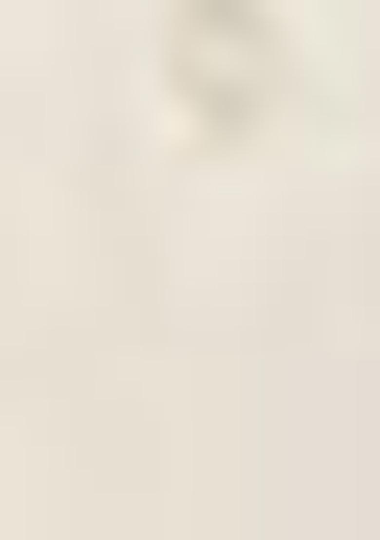 White Embroidered Chinnon Palazzo Set With Dupatta