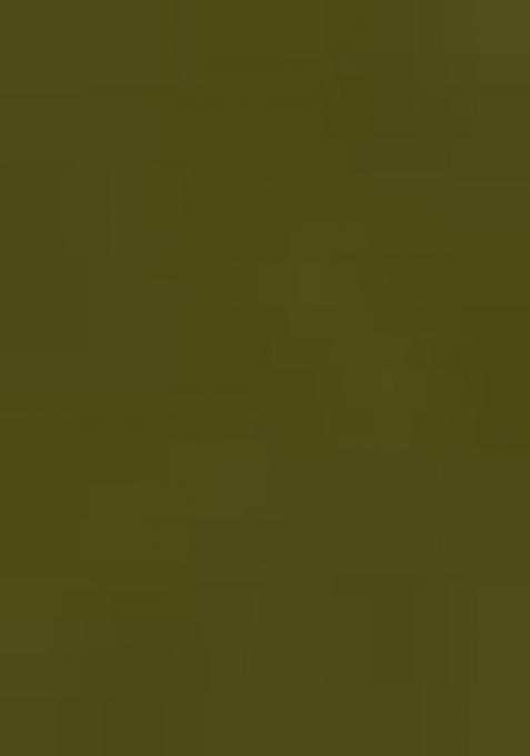 Green Georgette Sequin Embroidered Salwar Kameez