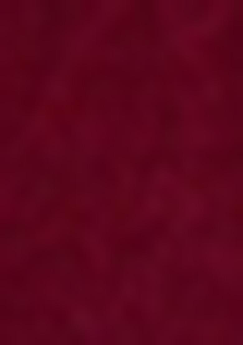 Red Viscose Sequin Embroidered Salwar Kameez With Dupptta