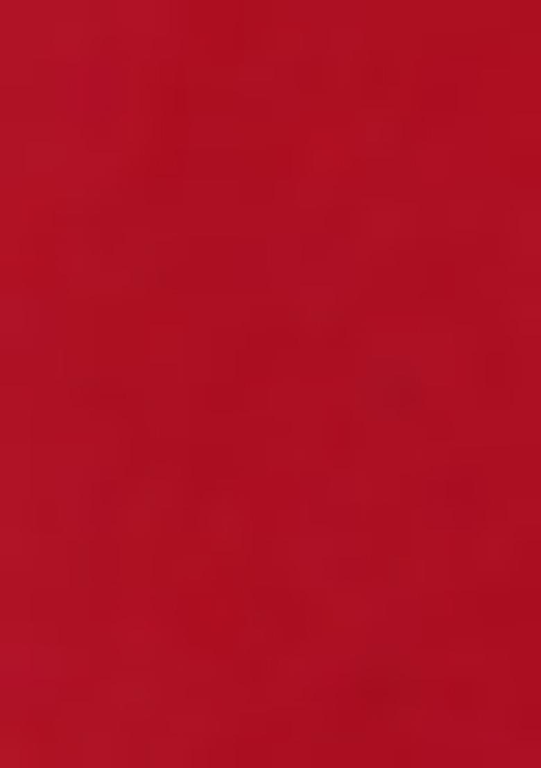 Red Silk Sequin Embroidered Salwar Kameez